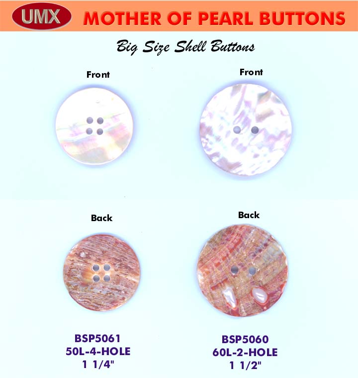 Enlarged picture of BSP5060-5061: The Beauty Of Nature - AWABI SHELL BUTTONS - The Big Size Hard to Find SHELL
BUTTONS